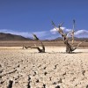 Clima extremo registrado en enero deja al país en condición de “megasequía”