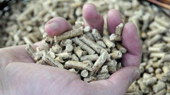 biomasa-energias-9-15