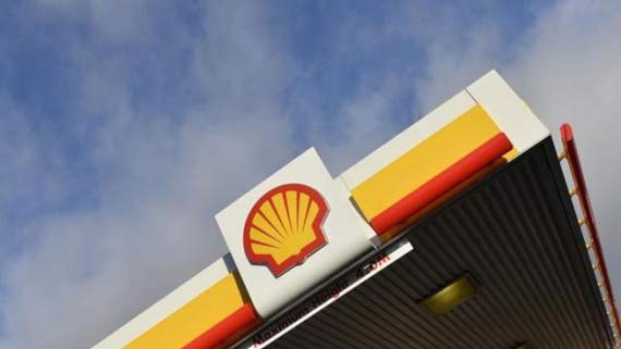 Shell-0116