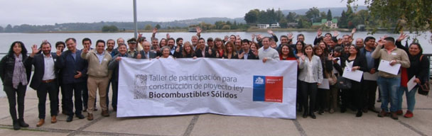 valdivia-bioconbustibles-ministra