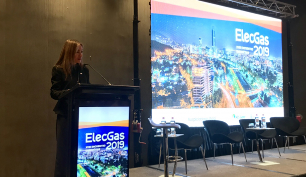 ministra-elecgas