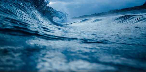 olas-image-I-2019