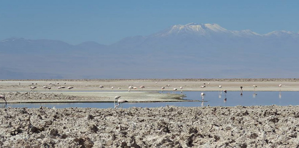 Salar-de-Atacama-2019